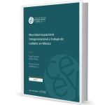 Movilidad ocupacional intergeneracional y trabajo de cuidados en México